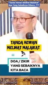 "Tanda Hewan Melihat Malaikat" Apakah Yang Sebaiknya Dibaca..??? #quran #surah #hadis #short #hewan