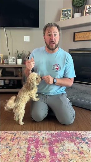 Dog Gone Problems Free Dog Training Workshop on the Omaha Riverfront #dogtraining #omahadog