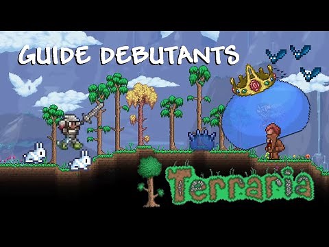 Terraria guide débutant #1