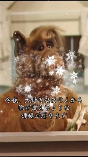 恋愛運アップ動画#恋が叶う音源 #恋のおまじない