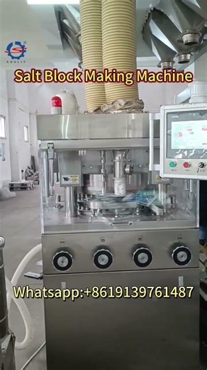 Salt Block Making Machine | Loose Salt Pressed into Solid Blocks