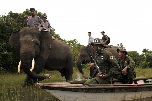 PAWS anti-poaching AI predicts where illegal hunters will show up next - Engadget