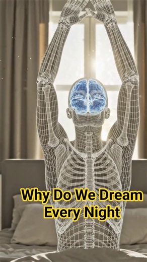 🧠 Why Do We Dream Every Night? | What Happens Inside Your Brain While You Dream? 🌙