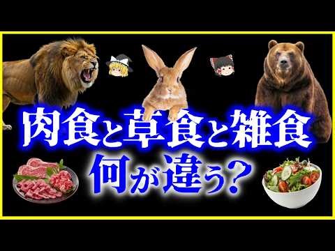 [Slow-Paced Explanation] Why are humans omnivores? What's the difference between carnivores, herb...