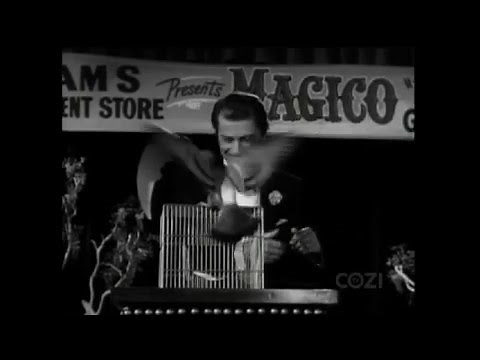 Lassie - Episode #292 - "Fine Feathered Friend" - Season 9, Ep. 1 - 10/1/1962