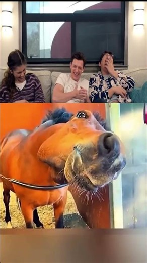 #tomholland #funny #trytolaugh #reaction