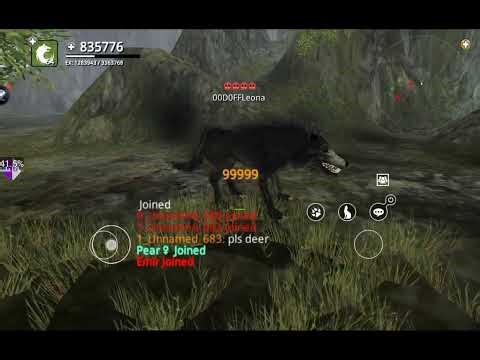 Wolf Online link script Infinity_Pet 😉✨And how to use it 🐺💕