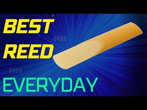 The Ultimate Guide to Clarinet Reeds: Secrets & Tools Revealed