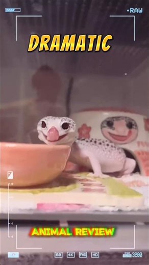 i want this video to be viral so bad 😭😭