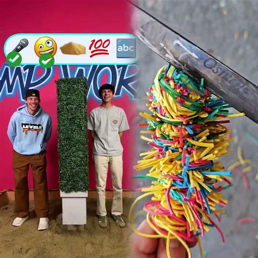 Best Friend Challenge!