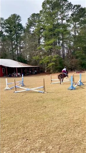 This was a fun exercise ❤️❤️ #horse #equestrian #pony