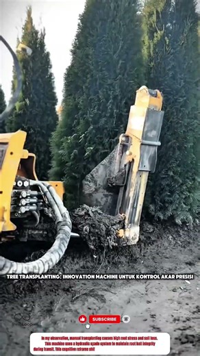 Tree Transplanting: Innovation Machine untuk Kontrol Akar Presisi