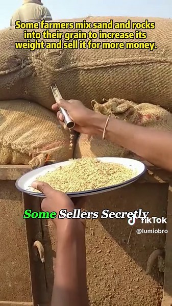 Understanding Grain Bag Management Techniques