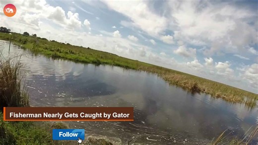 When Animals Fight Back—Shocking Moments of Wildlife Rage!