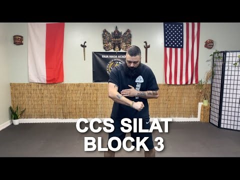 Learn CCS Silat Block 3