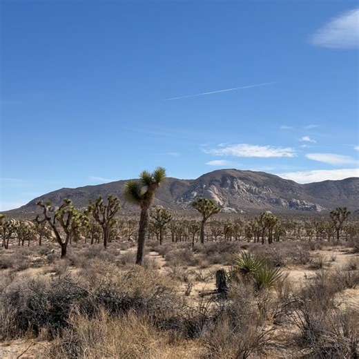 Emily Osment on Instagram: "have you tried simply *climbing a rock* about it ? saying goodbye and saying hello. being real small and being real slow."