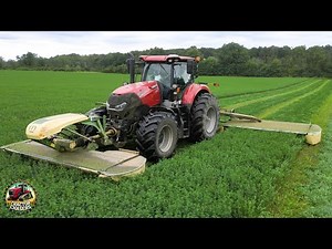 Hay Mowing, Merging, Chopping on a Dairy Farm