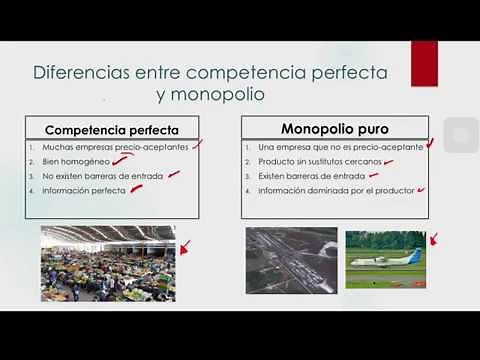 28. ¿Cuál es la diferencia entre la competencia perfecta y el monopolio?