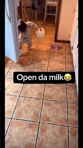 Open da Milk! #please#open#d#milk#opendamilk#funny#baby#videos#shorts#clips#tiktok#blitz#blitzcreeg