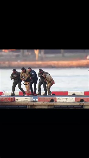 Mzo (@mzo2461)’s videos with original sound - Mzo