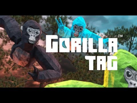 How To get The WalkSim.dll For Gorilla Tag SteamPC (ONLY)-