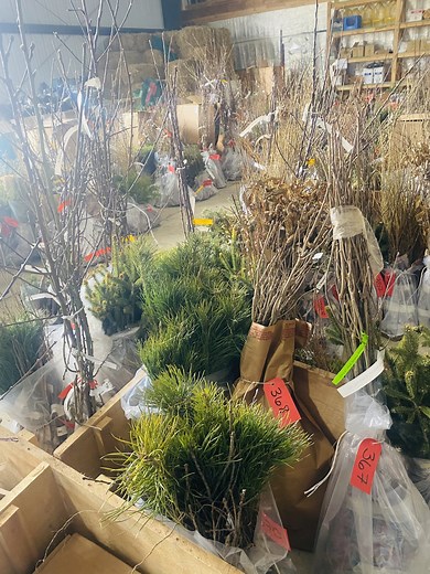 Annual Tree & Shrub Sale - Chautauqua County Soil & Water Conservation District