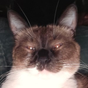 AlsikeLoL - Twitch