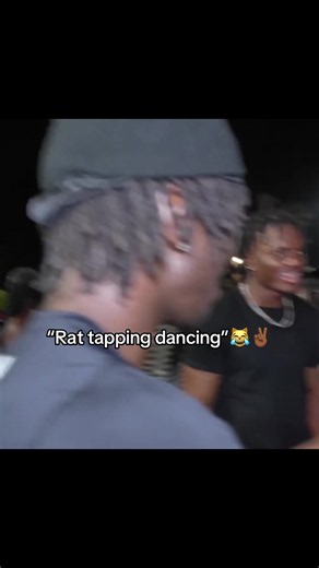 Rat tapping dancing video — funny pet dance clip