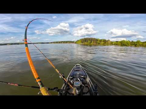 Spring Kayak Fishing for a FEAST! | Shellcracker + 3 Catfish Species
