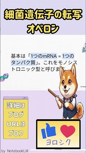 細菌遺伝子の転写とオペロン #分子生物学 #分子細胞生物学