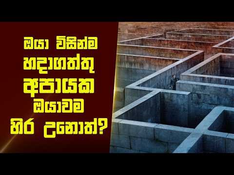 "රිටන් ටු සයිලන්ට් හිල්" චිත්‍රපටයේ කතාව සිංහලෙන් - Movie Review Sinhala | Home Cinema Sinhala