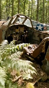 I Found Two Crashed P-51 Mustangs Hidden for 80 Years #treasurehunt #treasure #treasurehunting #foryou #metaldetecting #supertreasurehunt #history #metaldetectingfinds #metaldetector #treasurehunter #coins #detecting #gold #adventure #metal #hobbydetecting #coin #silver #diecastcollector #fyp #metalldetektor #archeology #romania #mexico #espagne | Bg treasure