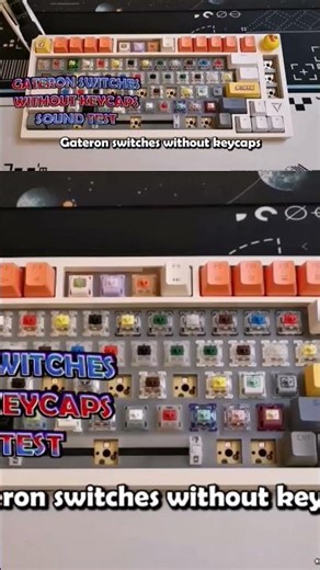 GATERON SWITCHES ASMR #topicsandreviews #asmr