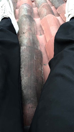 andrea bianchi su TikTok