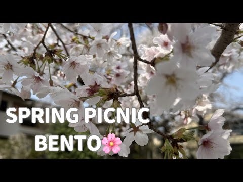 Spring Hanami Bento 🌸 | Karaage,&Onigiri Picnic in Japan