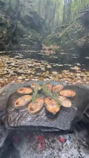 anatoly legasov on Instagram: "Grilled bonito on a stone heart #nature #explorepage #viral #foodstagram #camping"