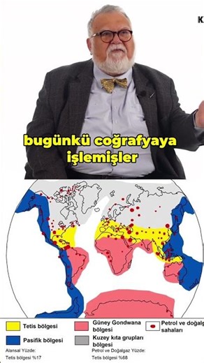 That Extinction That Destroyed Even Insects