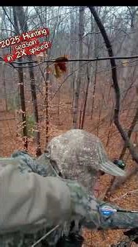 2025 Hunting Season recap Maryland Public Land #hunting #2025 #deer #newyear