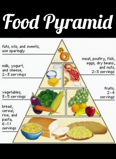 The Food Pyramid: Health, Nutrition and A Balanced Diet #preschoolactivities #preschoollearning #kindergarten #learnenglish #goldenoakprivateschool #scienceforkids #foodpyramid #activitiesforkids #foodgroups #nature #kindergarten #preschool #primaryschool #happykids #summercamp #limassolschools #limassol #cyprus #summerschool #howto #sciencefacts #school #kids #kidshavefun #sciencefacts