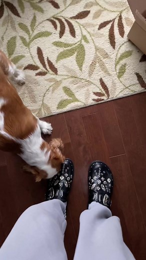 Designer Toga Virilis Boots Unboxing | Fashion TikTok