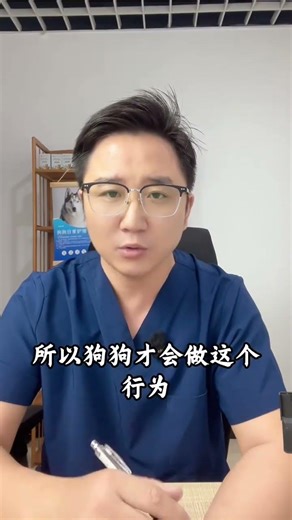 Why do dogs scratch the ground#The dog#dog#You won t know the joy of keeping a dog unt