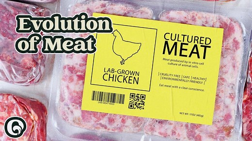 Beyond Plants and Labs: The Real Future of Meat