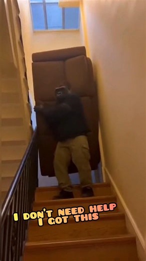 He refused to pay for movers 🛋️🦍 #fail #movingday