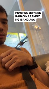 Sitzu: “i smell something danggit” #pug #pet #dog #cromwell | Cromwell