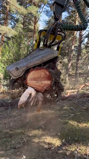 🤖“Harvester 1270G: Robotic Intelligence That Cuts Like a Beast” #johndeere #forest #harvester #tree