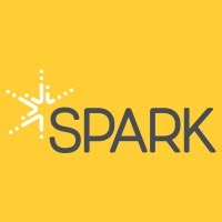 Spark Program | LinkedIn