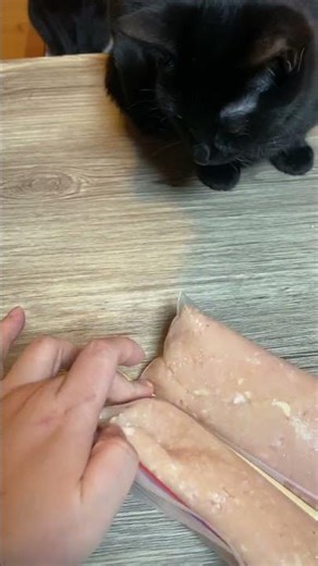 #cat #猫のいる暮らし