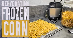 Dehydrate Corn Faster!