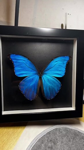 Of course, it is only the beginning when I receive the butterfly made by me #🦋