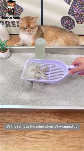 🤢💩 BOKAMAO Cat Litter Test: Full Encapsulation For Sticky Cat Soft Stool, Zero Smearing & Residue!